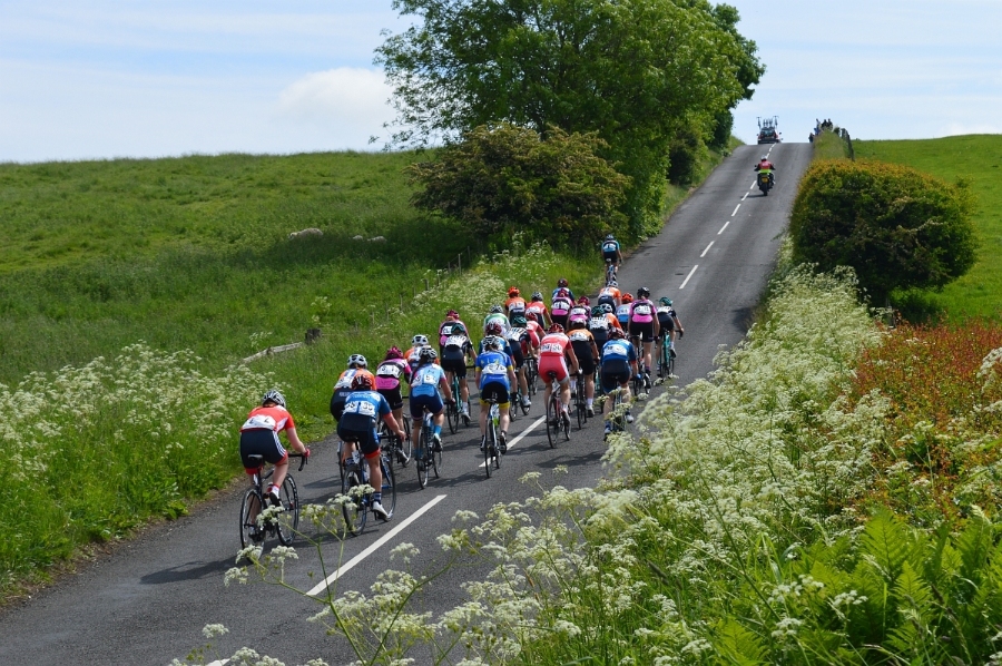 Olympic Champion to race Curlew Cup